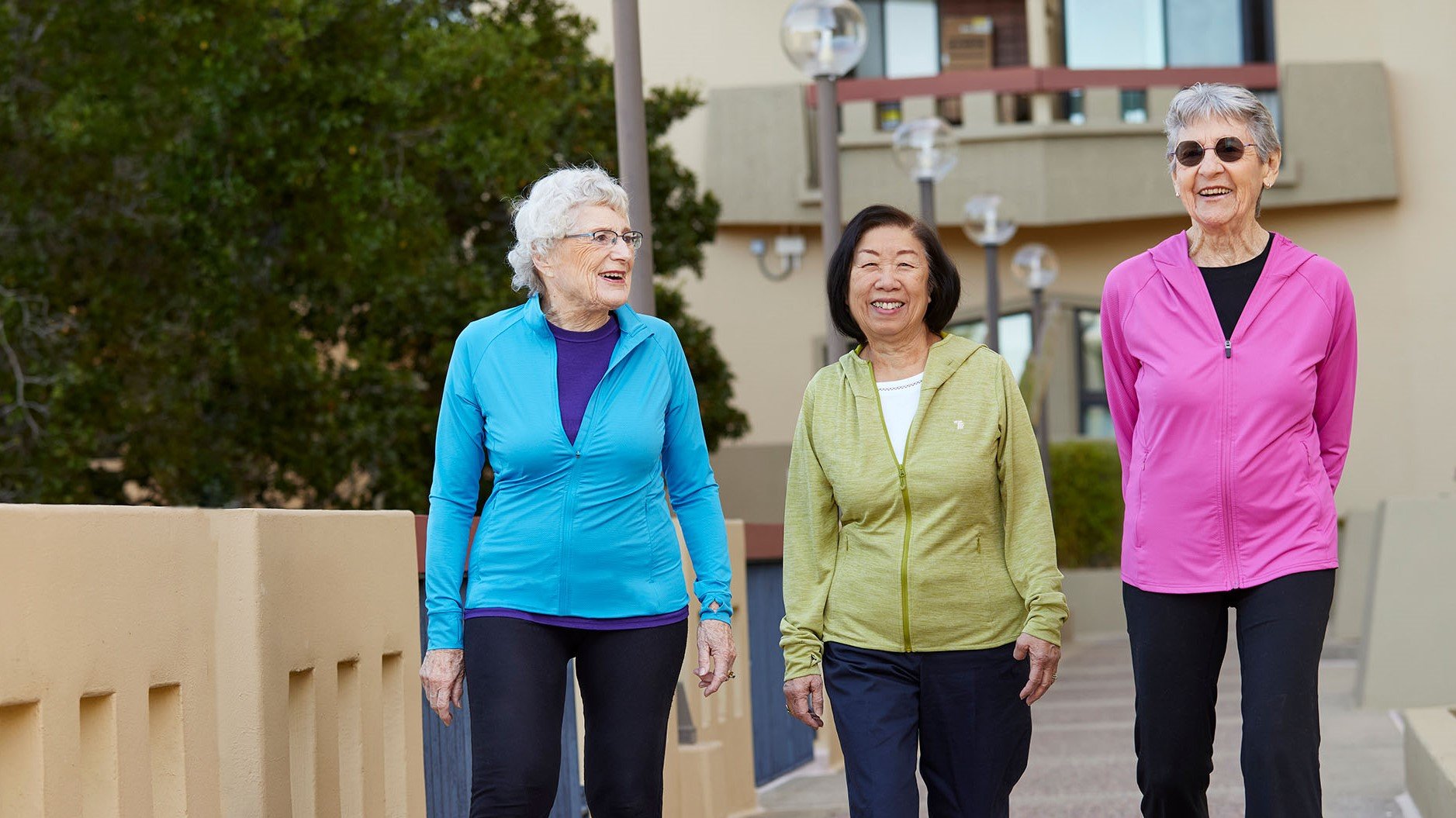 Three Ladies Walking - The Tamalpais